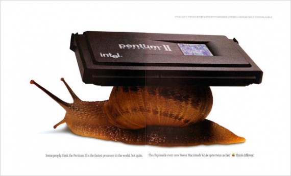 1998 snail