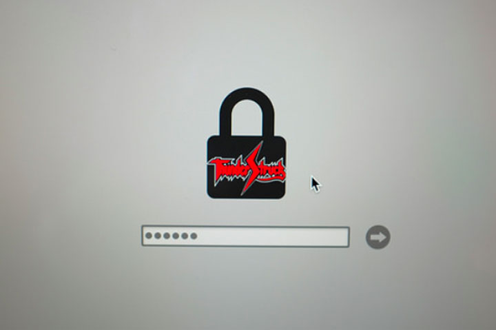 Специалисты создали неистребимый червь - вирус Thunderstrike 2